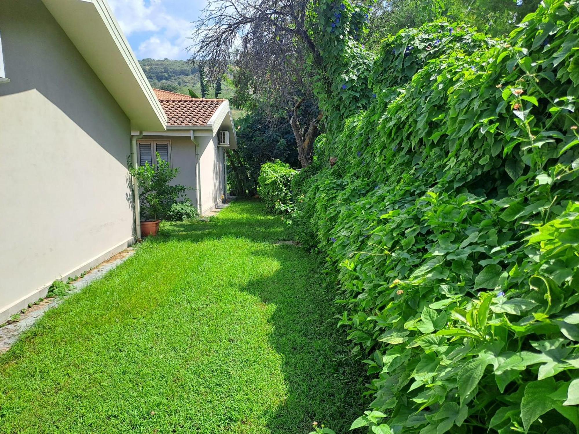 Residence Bidreams Zambrone Bagian luar foto